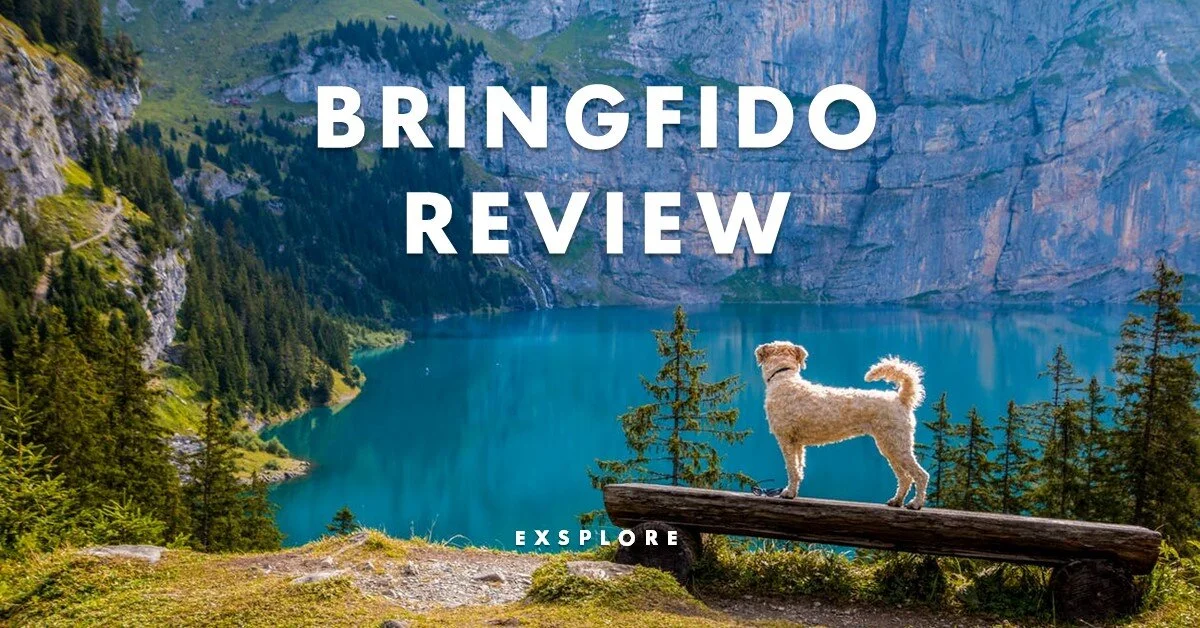 BringFido Review - Free Pet-Friendly Booking Service [Full Breakdown]