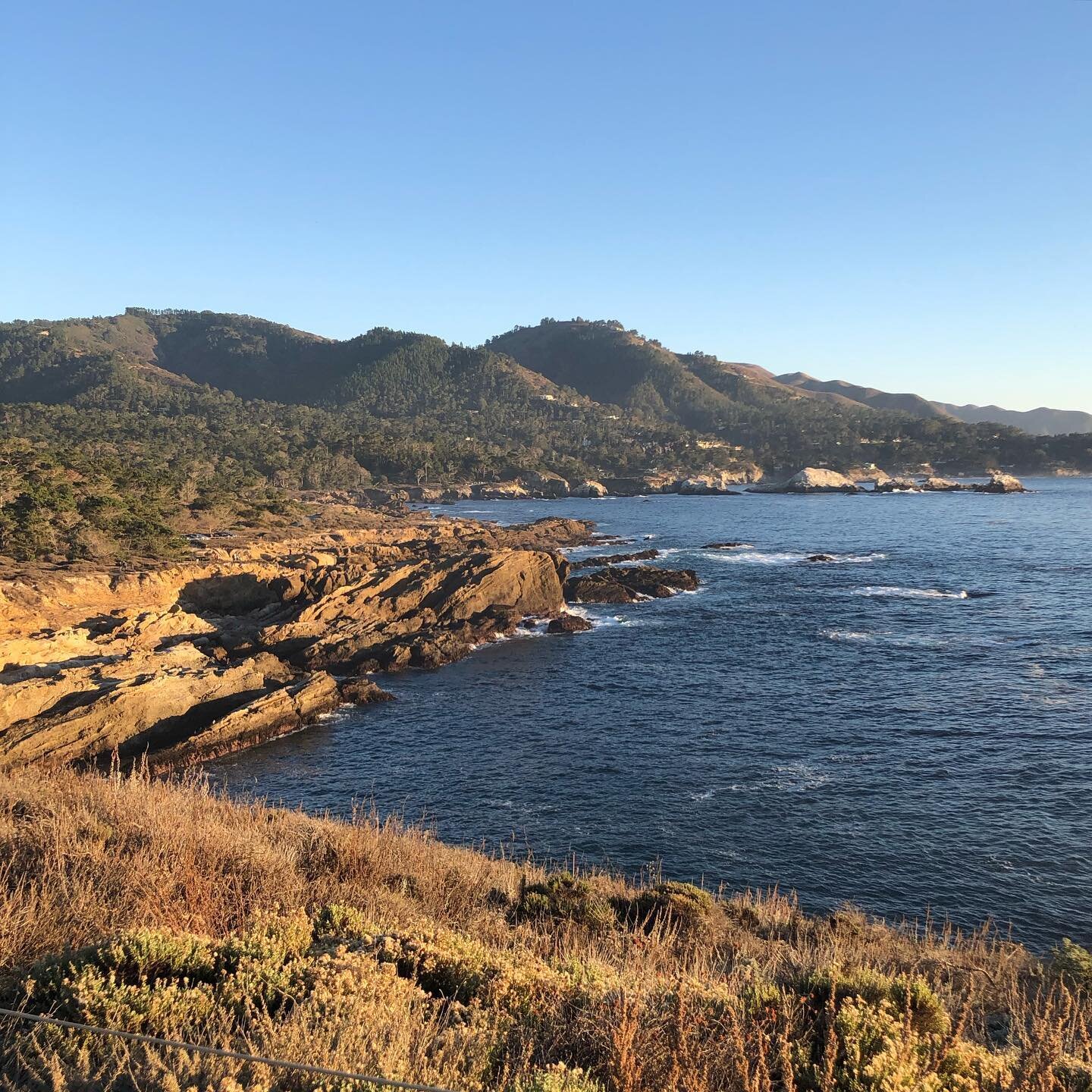 At Point Lobos with my favorite person