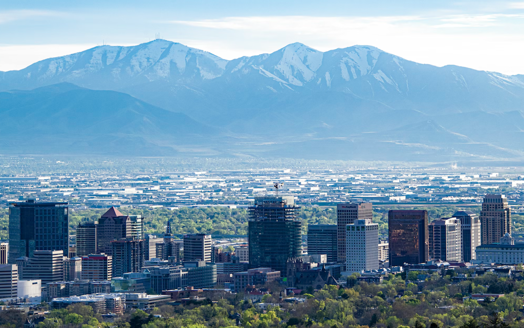 How to Choose the Right Pest Control Company in Salt Lake City