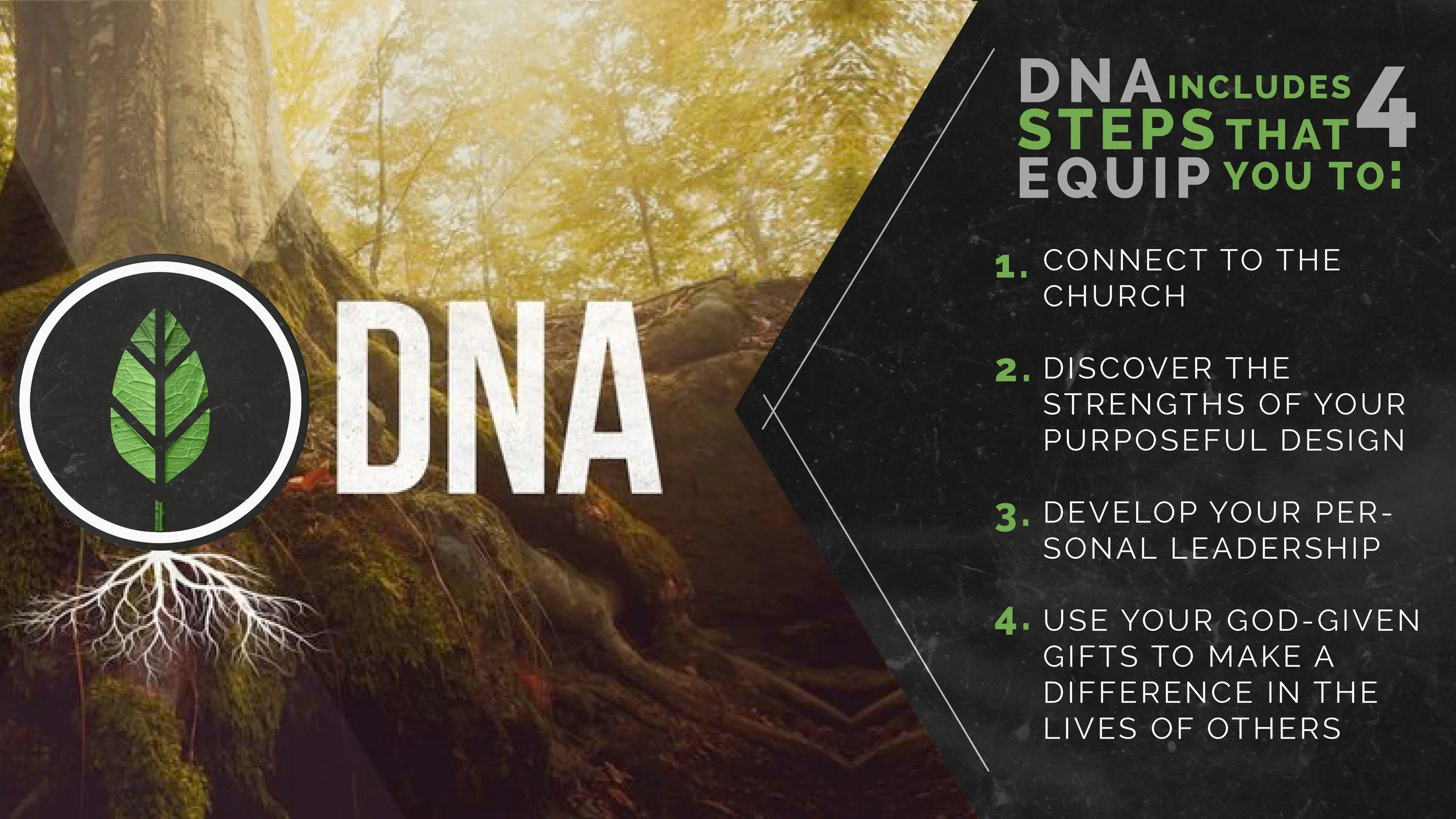 DNA.jpg