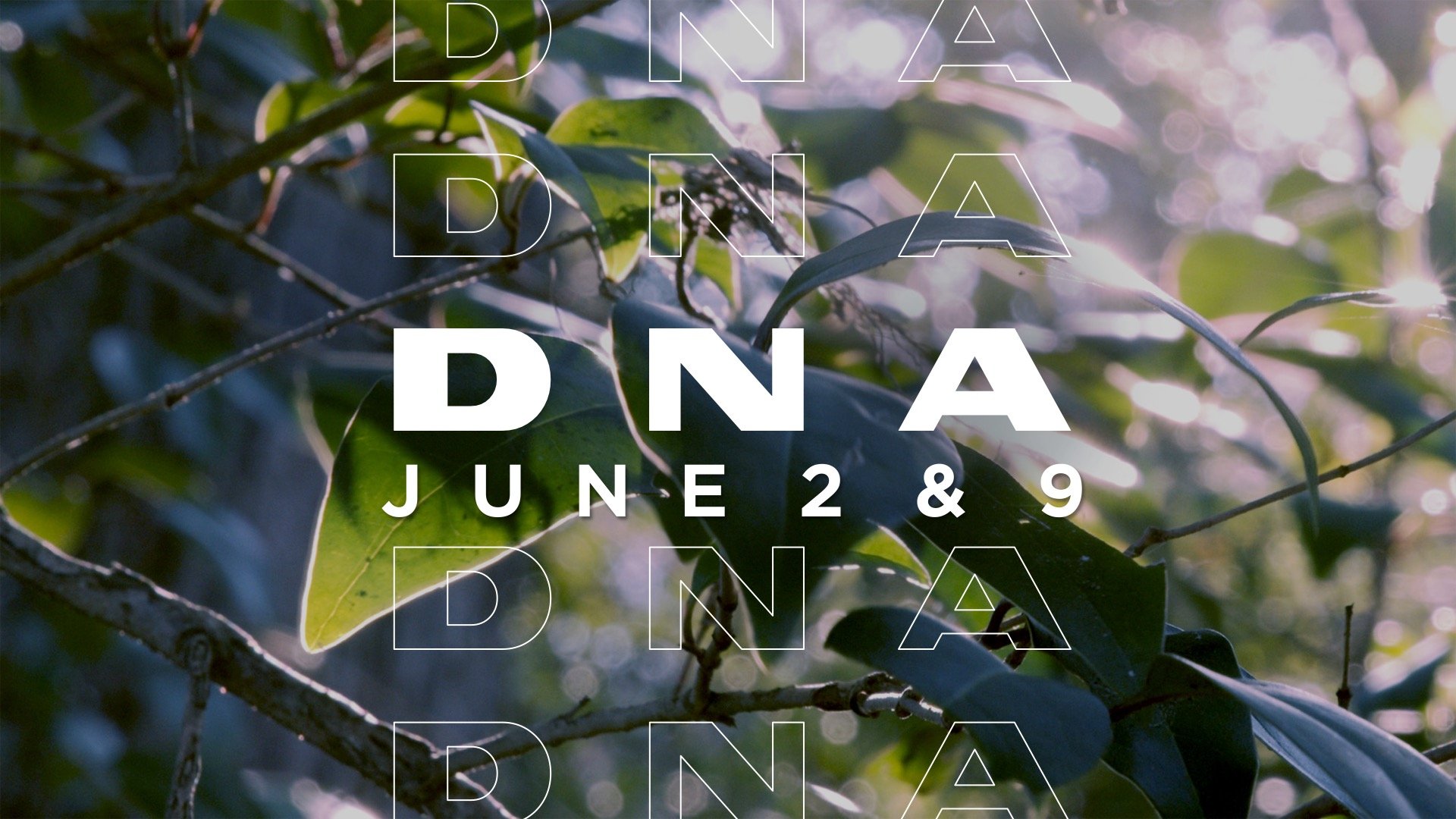 DNA - June 2024.jpg