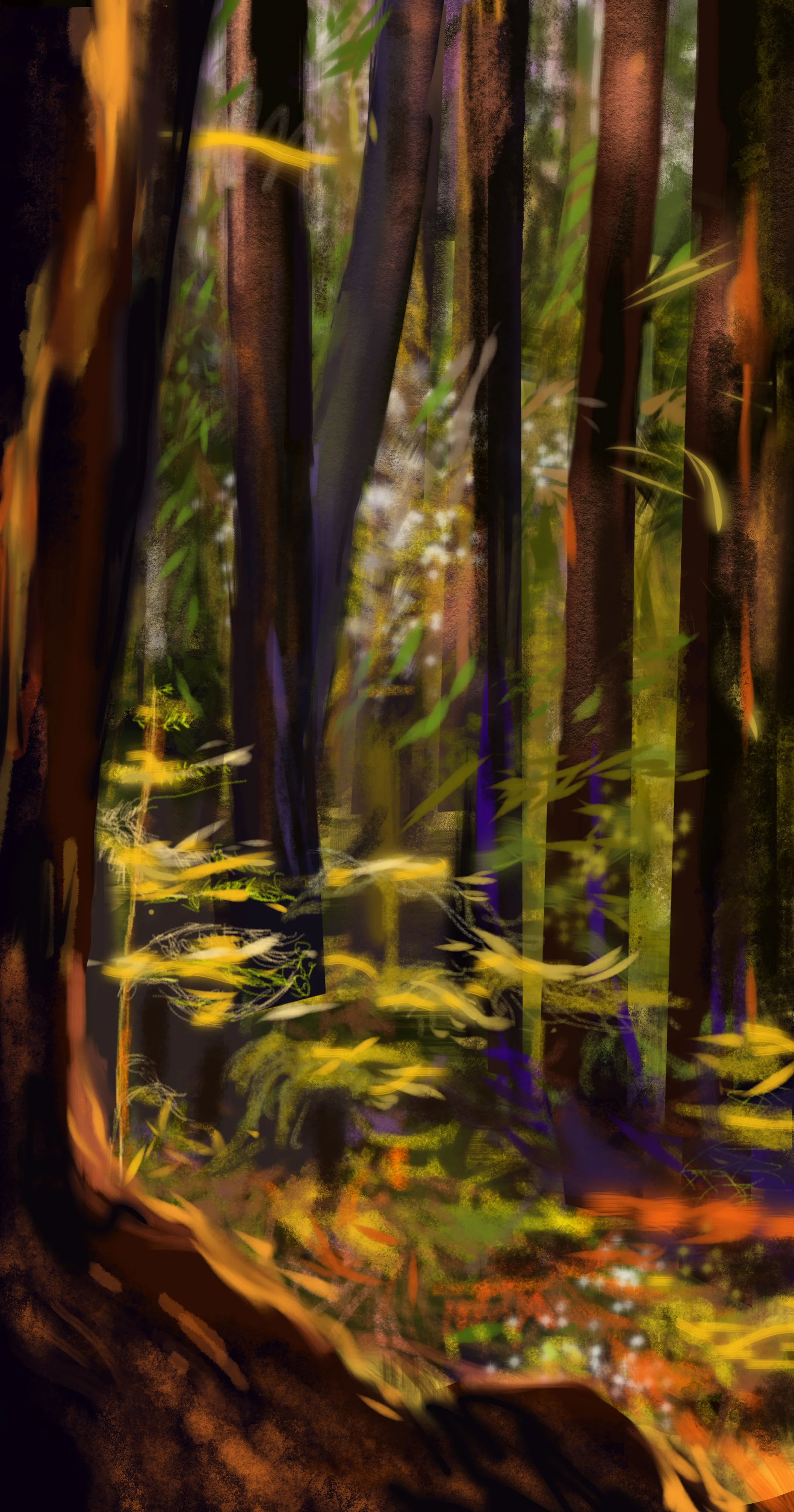 Walk in Wunderlich Park