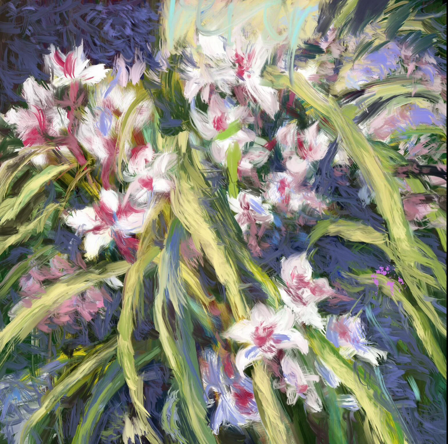 Orchids