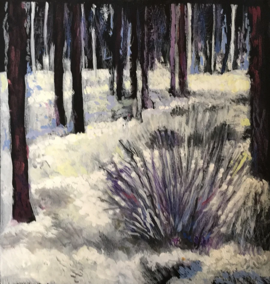 First Snow at Martis Camp