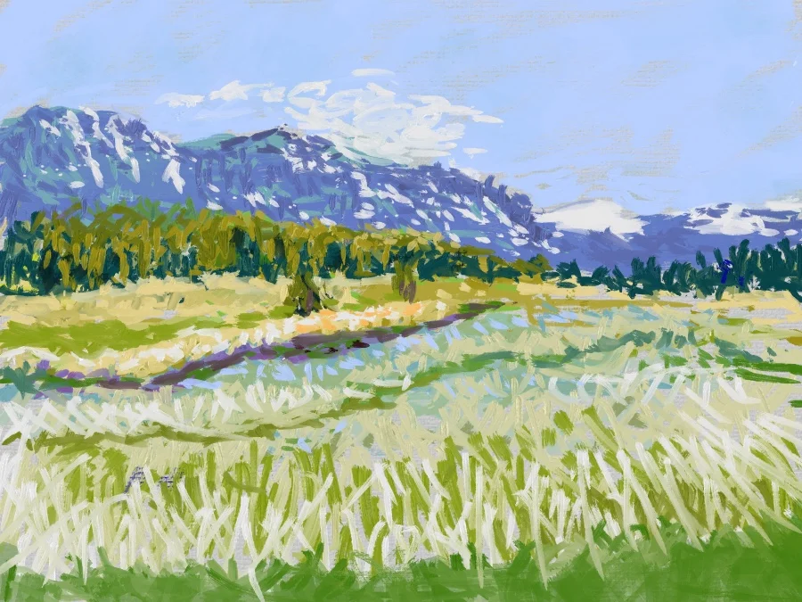 Truckee in summer