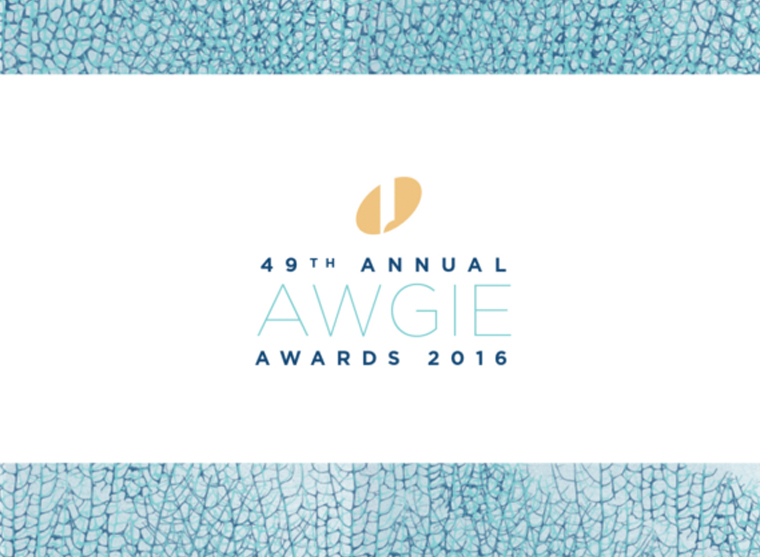 Cameron's Winners at the 2016 AWGIES