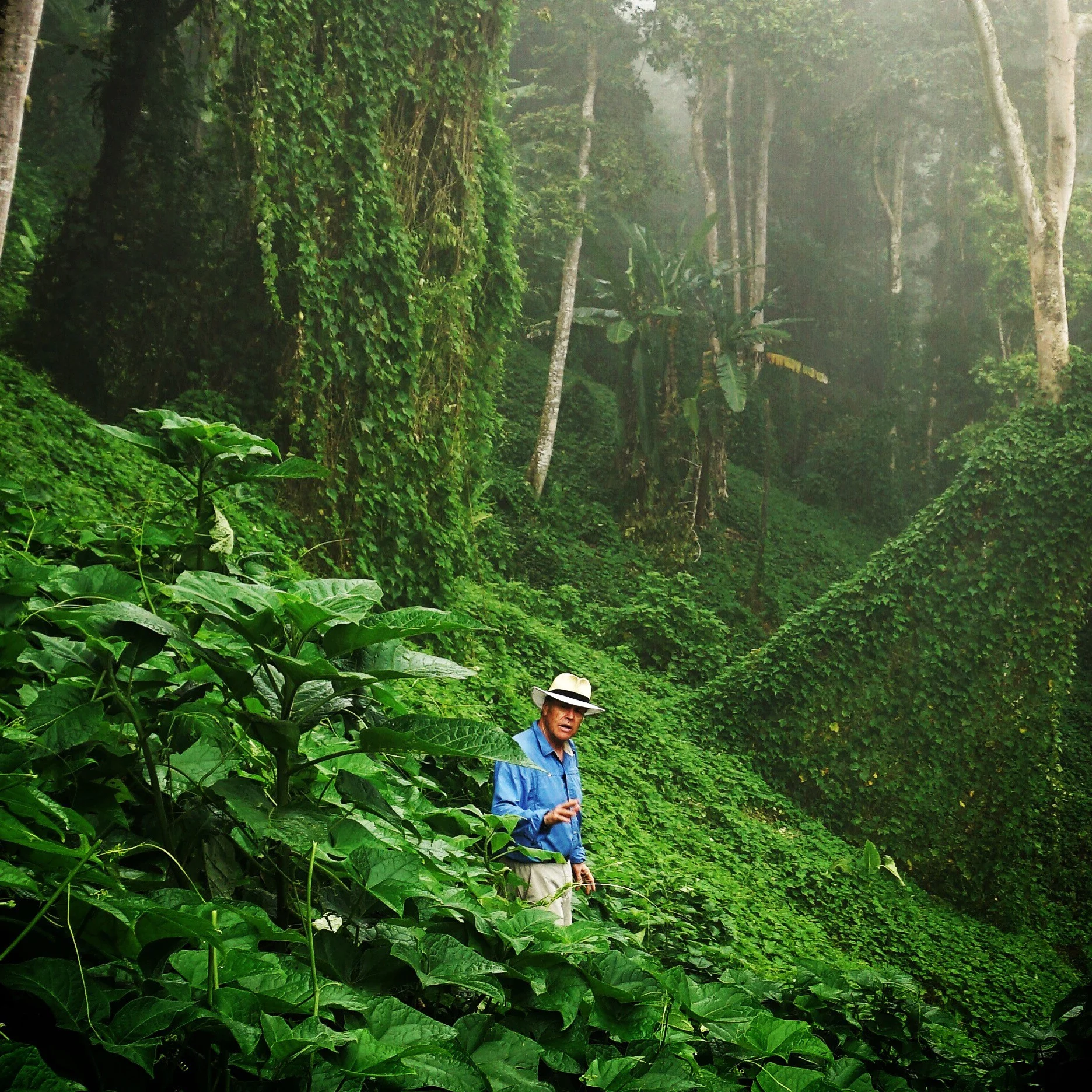 New Kokoda Documentary by Author Patrick Lindsay — Cameron's
