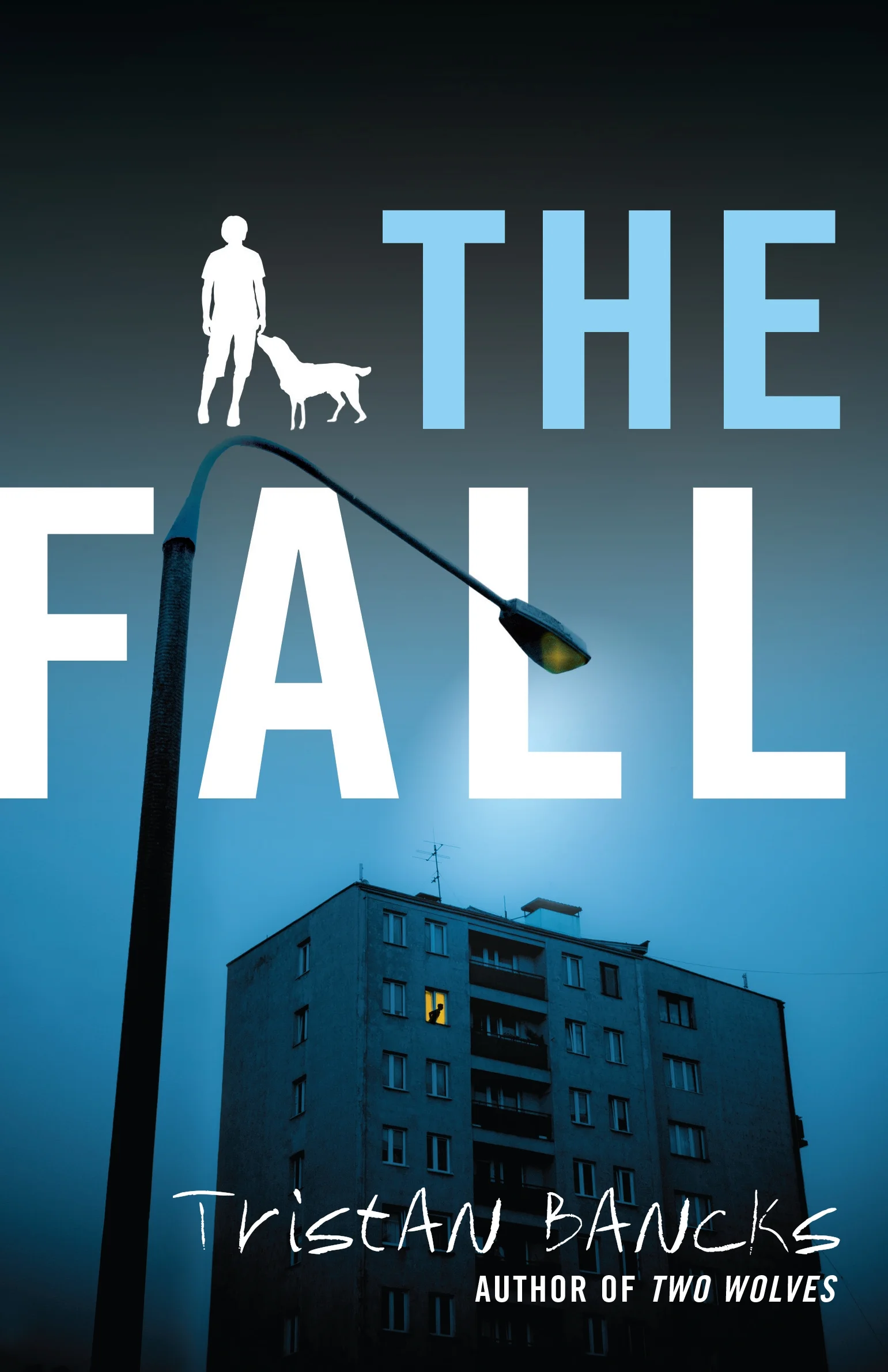 The Fall by Tristan Bancks: Notable Book in CBCA Book of the Year Awards