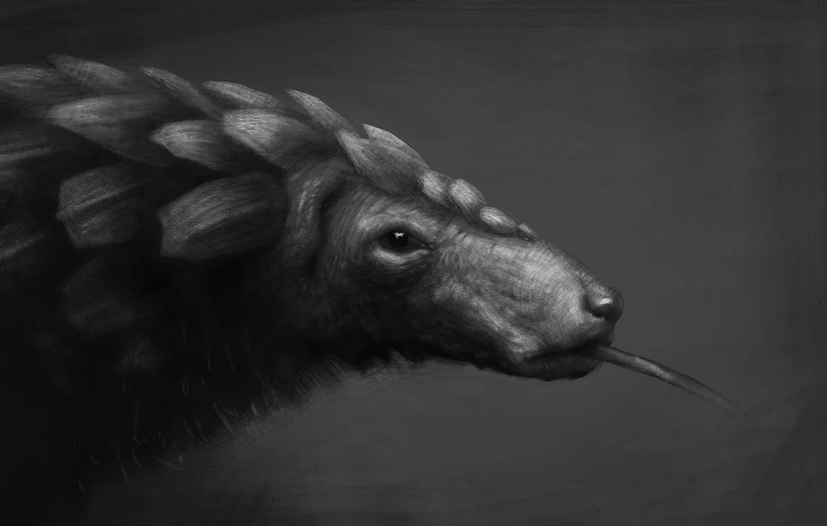 pangolinSketch01.jpg