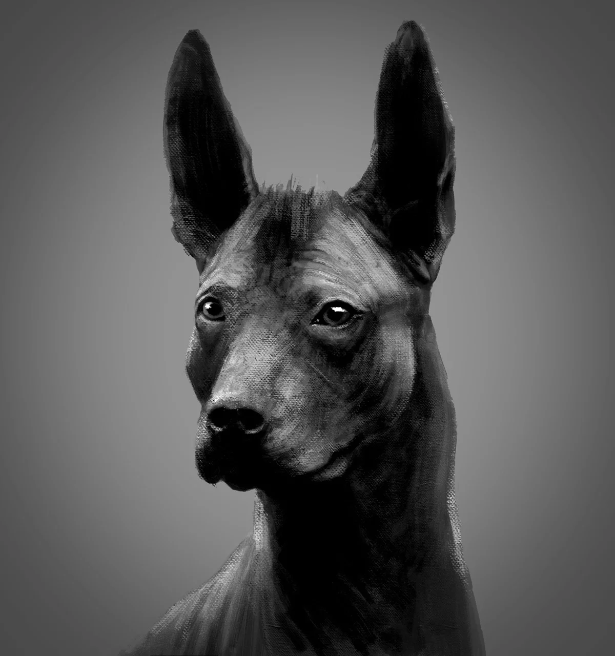 dogSketch02.jpg