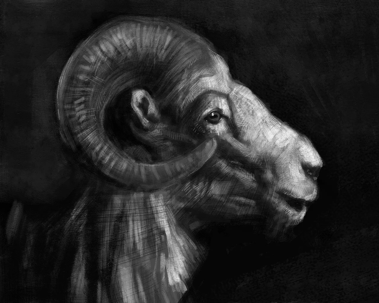 Ram_sketch01.jpg