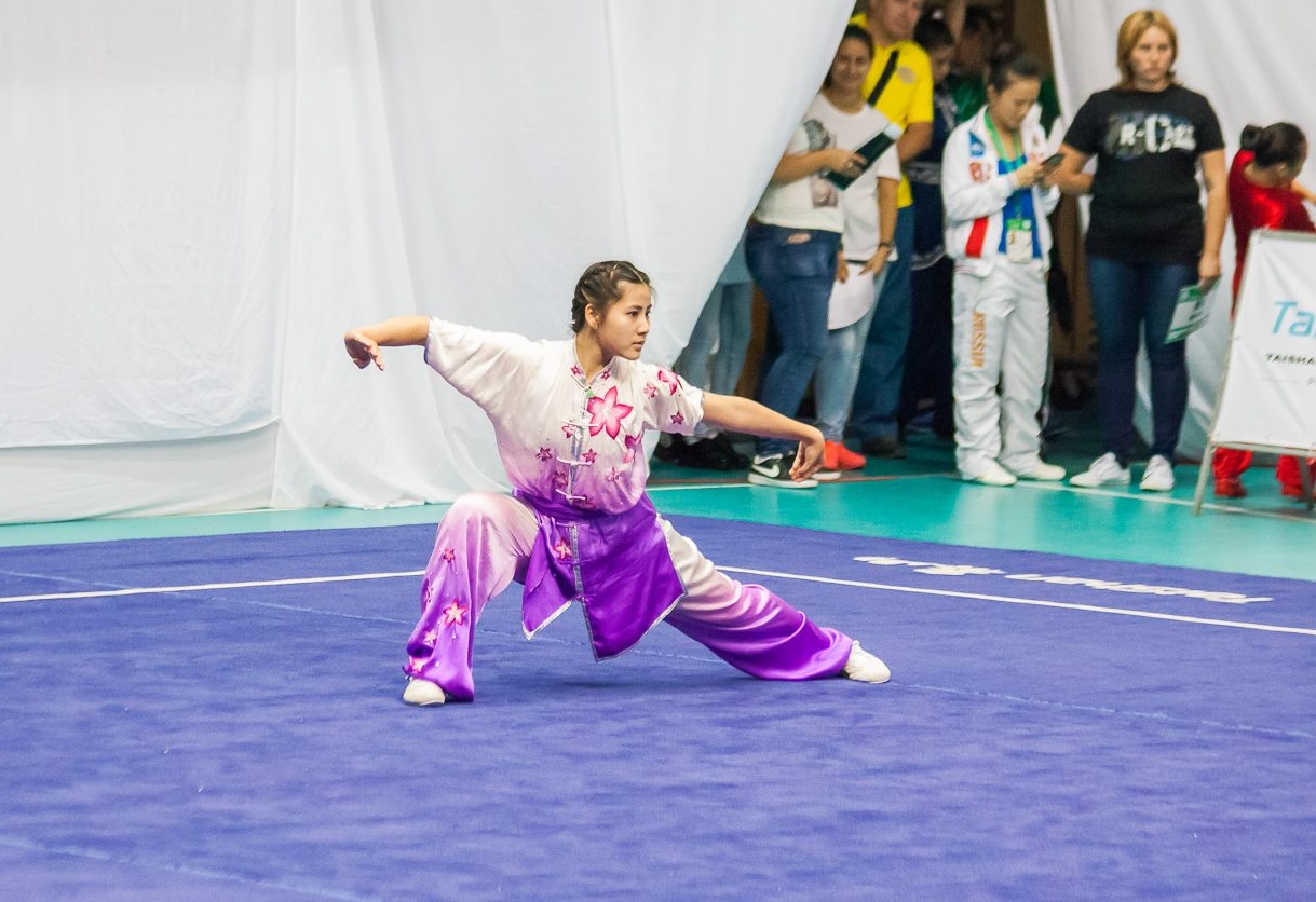 Remy, Changquan, 2016 WJWC (Bulgaria).