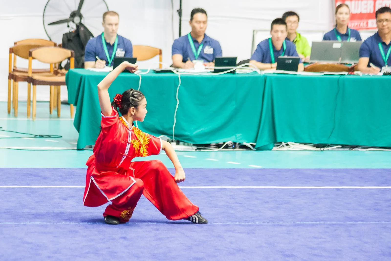 Ashley, Changquan, 2016 WJWC (Bulgaria).