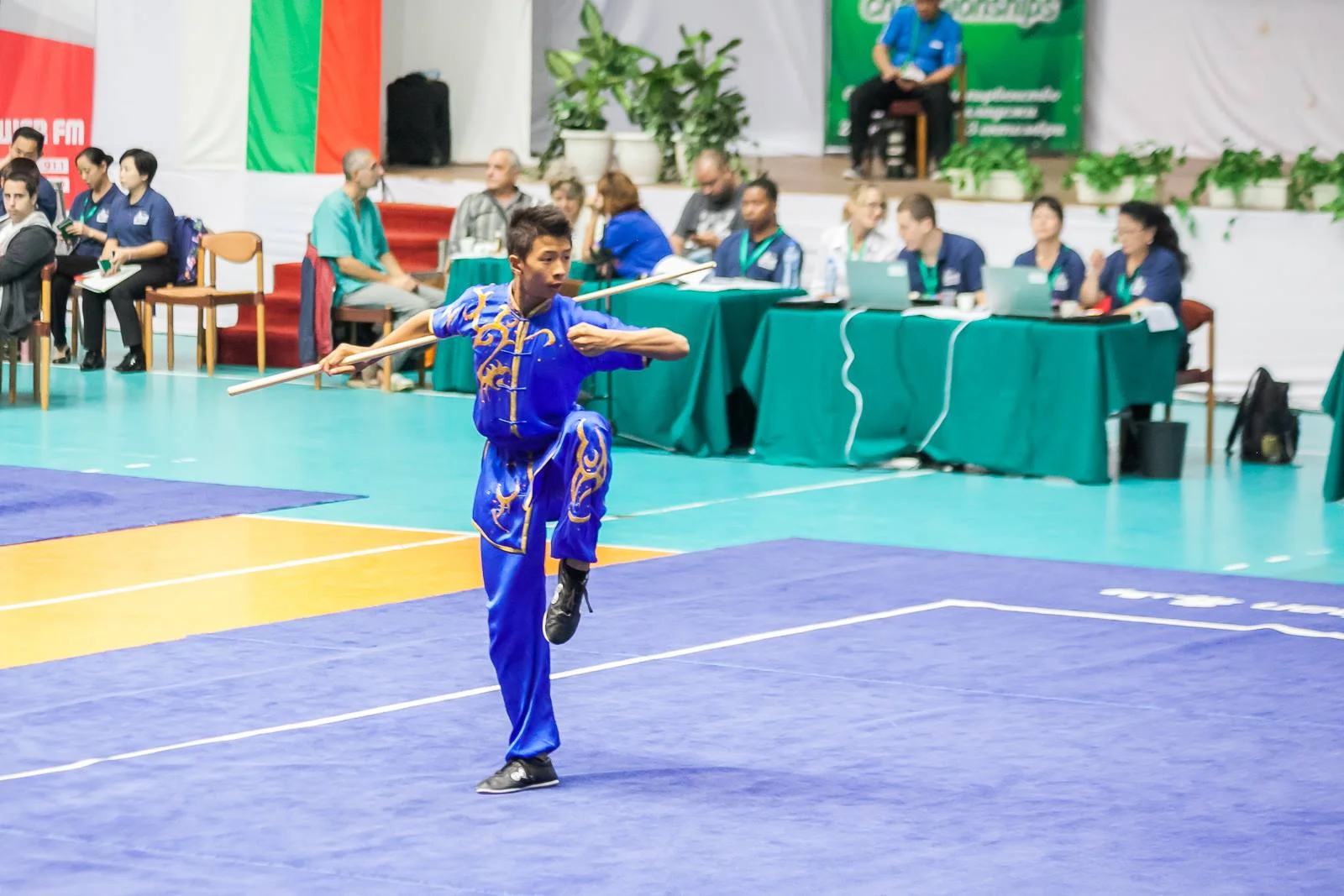 Rex, Gunshu, 2016 WJWC (Bulgaria).