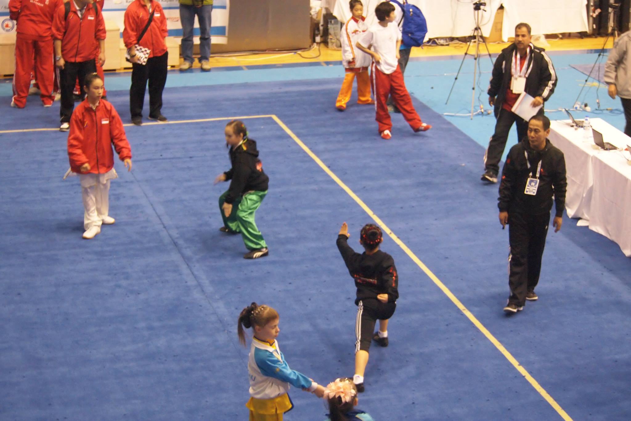 Wayland_Li_Wushu_World_Junior_Championships_2014_Turkey_8.jpg