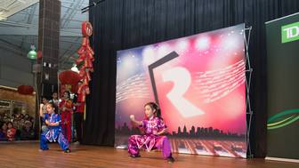 Wushu kids perform a group form routine. 李文啟武術學院功夫表演