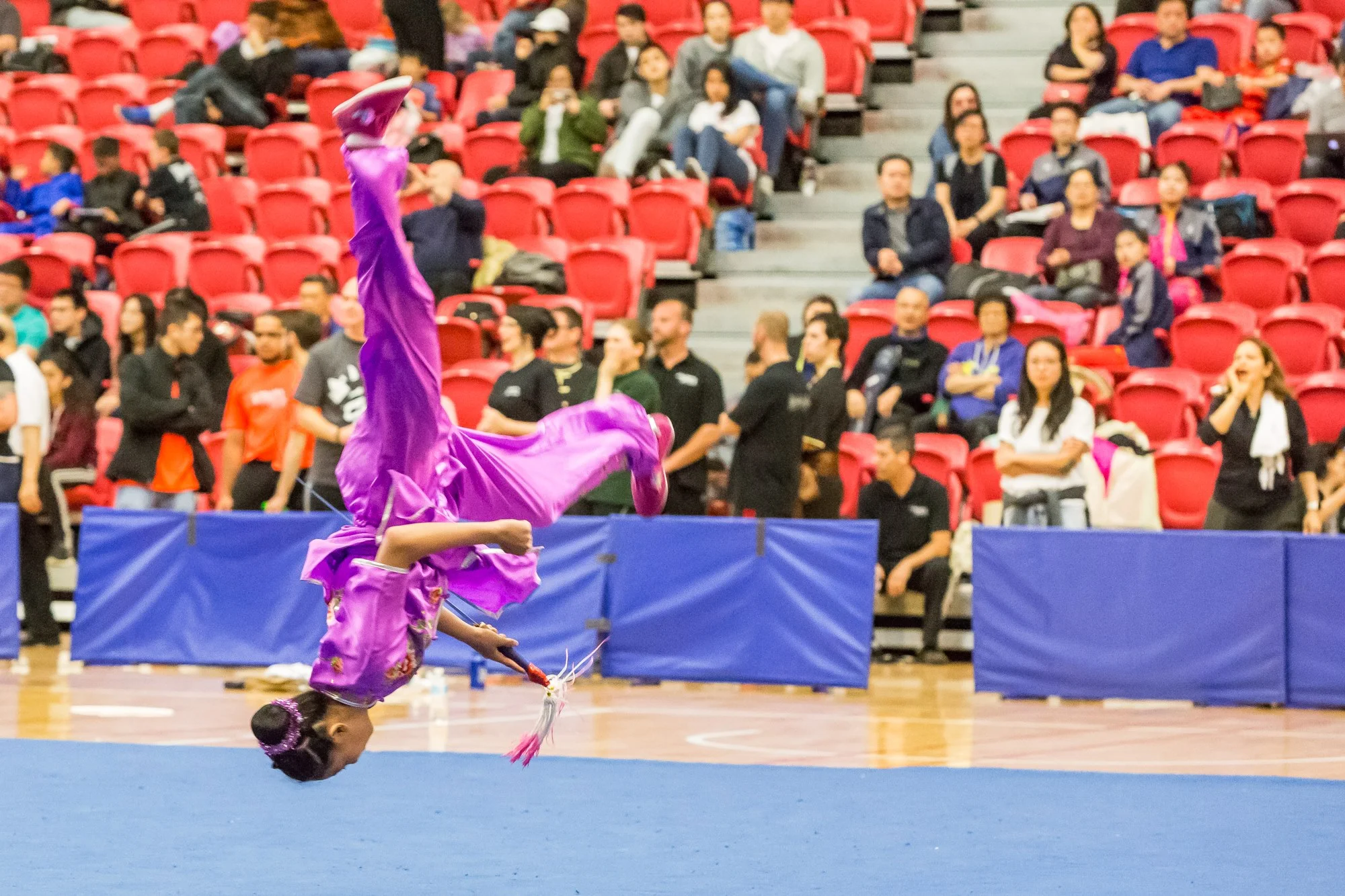 wayland-li-wushu-toronto-markham-canadian-wushu-championships-2017-jianshu-15.jpg