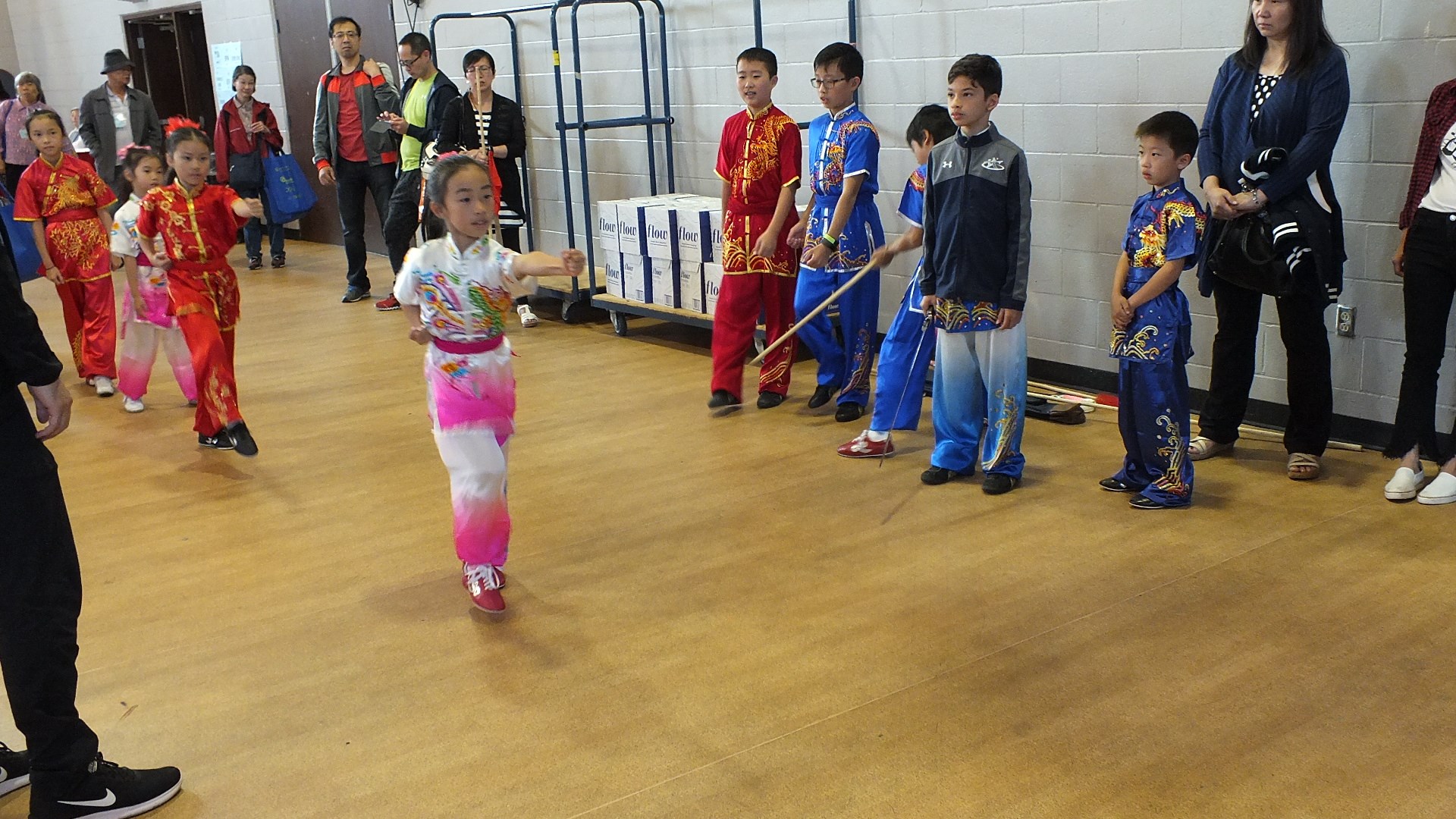 wayland-li-wushu-toronto-canada-demo-chinese-cultural-centre-health-awareness-day-2017-2.jpg