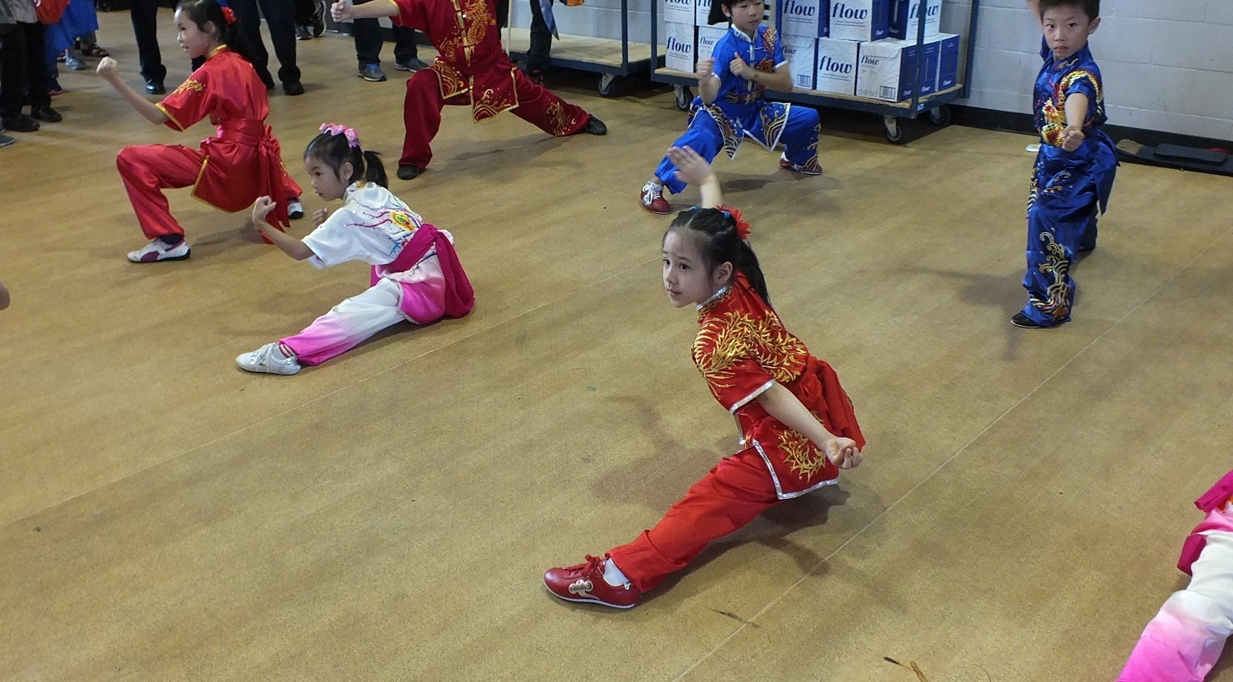 wayland-li-wushu-toronto-canada-demo-chinese-cultural-centre-health-awareness-day-2017-6.jpg