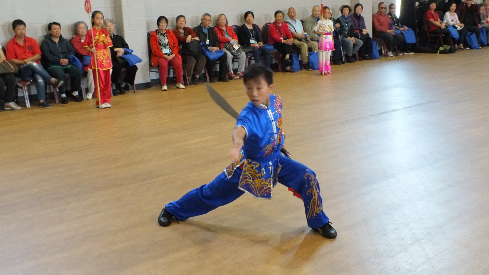 wayland-li-wushu-toronto-canada-demo-chinese-cultural-centre-health-awareness-day-2017-8.jpg