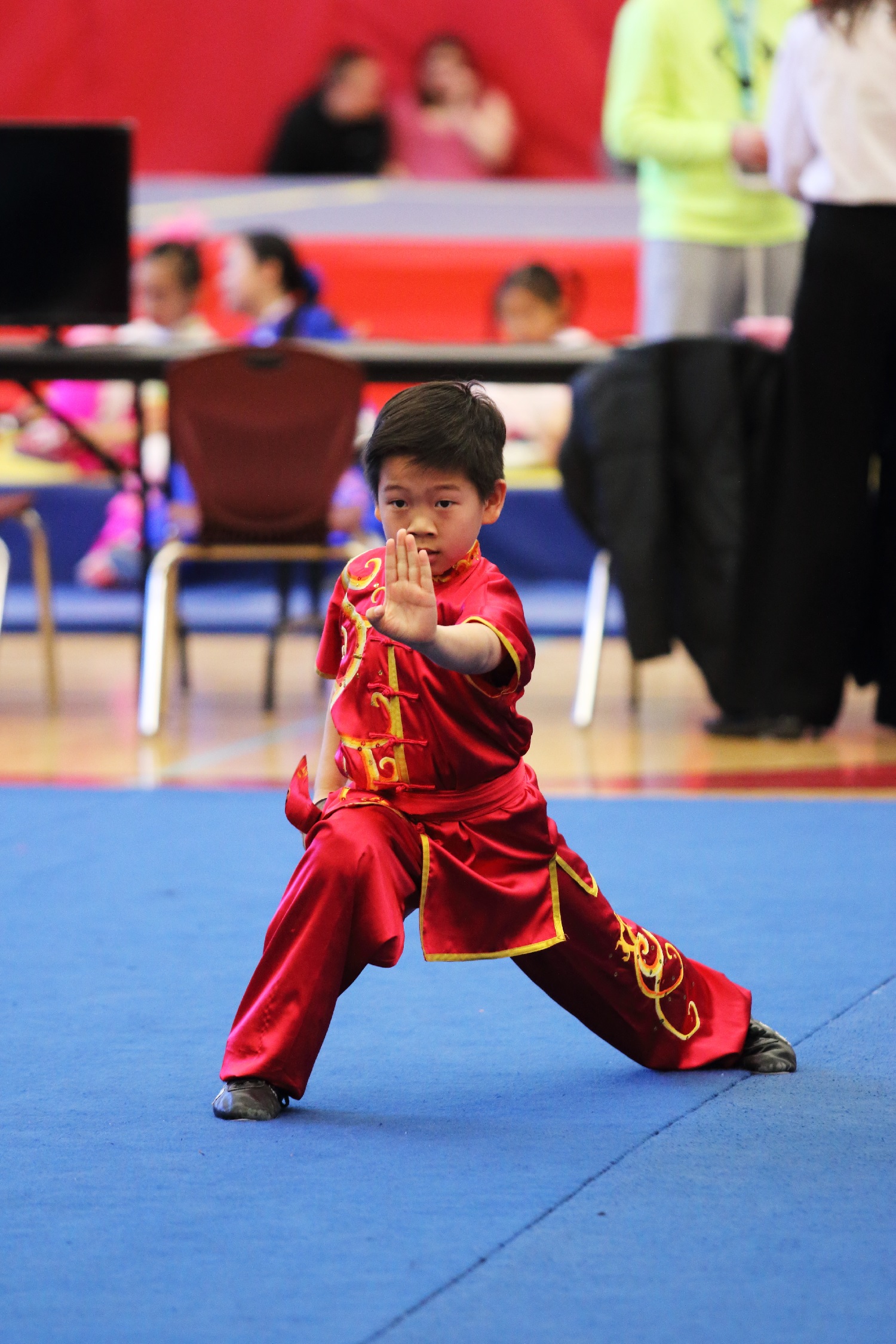 wayland-li-wushu-ontario-games-2018-14.jpg