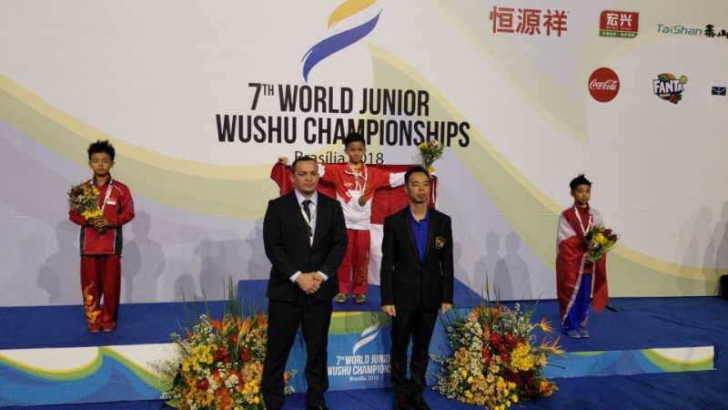 wayland-li-wushu-world-junior-wushu-brazil-team-canada-2018-23.jpg