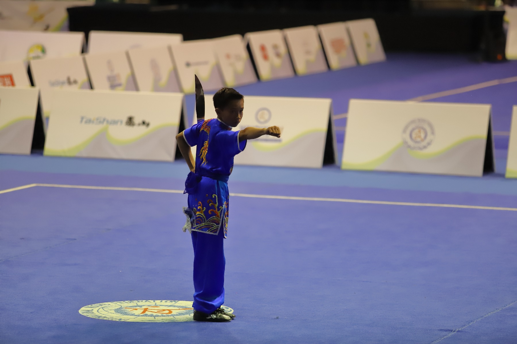 wayland-li-wushu-brazil-world-junior-wushu-championships-2018-team-canada-23.jpg