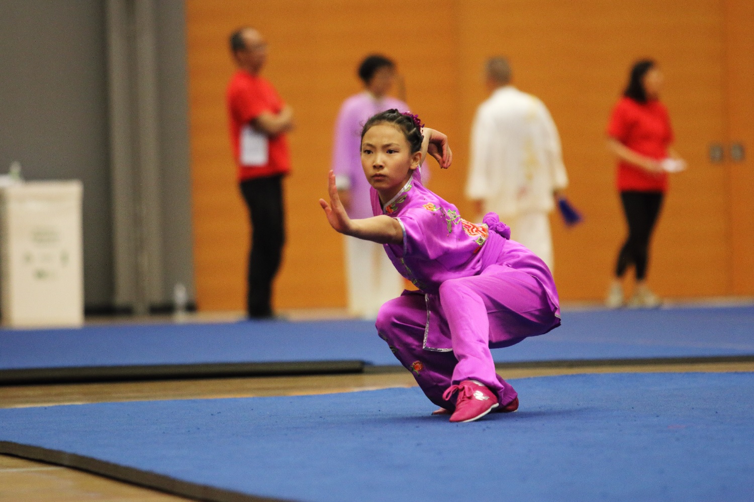 Wushu champion, Erica Li