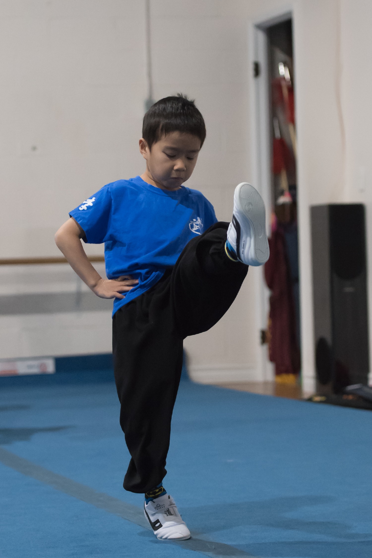 wayland-li-wushu-canada-markham-sash-testing-2018-26.jpg