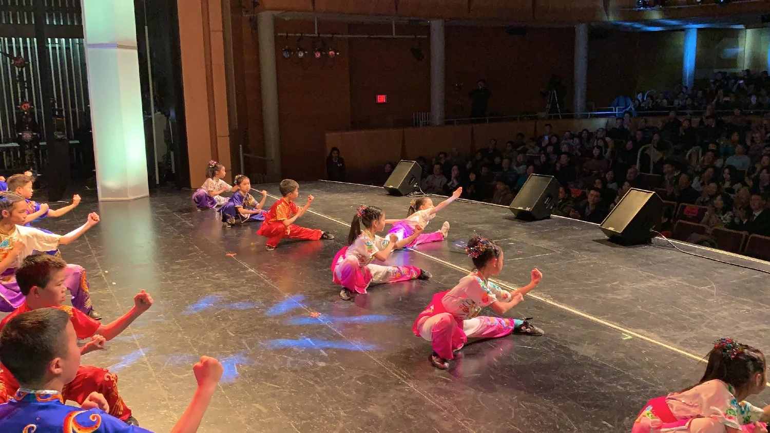 wayland-li-wushu-china-story-demo-richmond-hill-2019-lunar-new-year-14.jpg