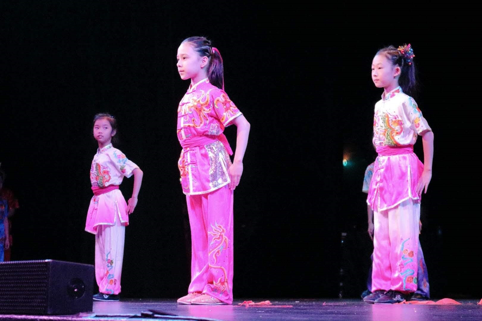 wayland-li-wushu-children-spring-fesitval-toronto-canada-2019-15.jpg