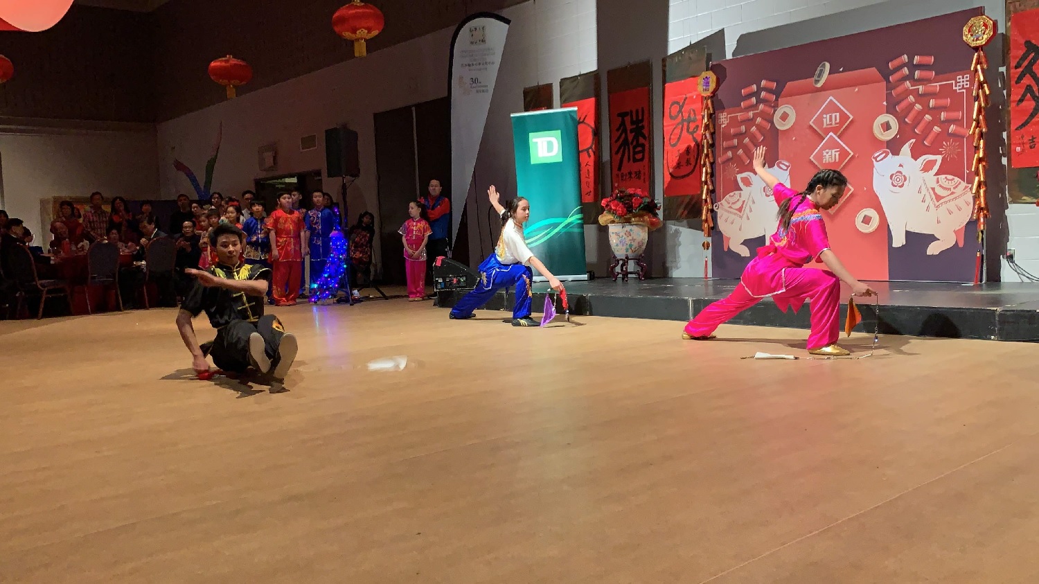 wayland-li-wushu-year-of-the-pig-dinner-chinese-cultural-centre-2019-06.jpg