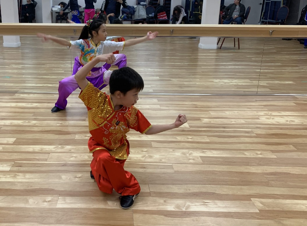 wayland-li-wushu-year-of-the-pig-dinner-chinese-cultural-centre-2019-15.jpg