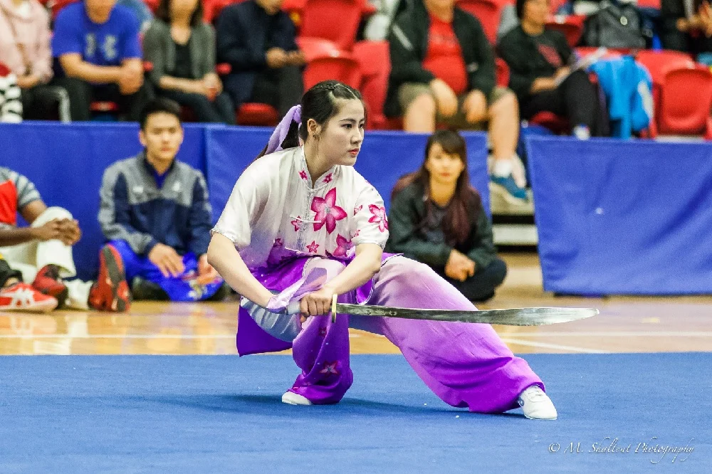 wayland-li-wushu-2018-canadian-national-selections-markham-canada-23.jpg