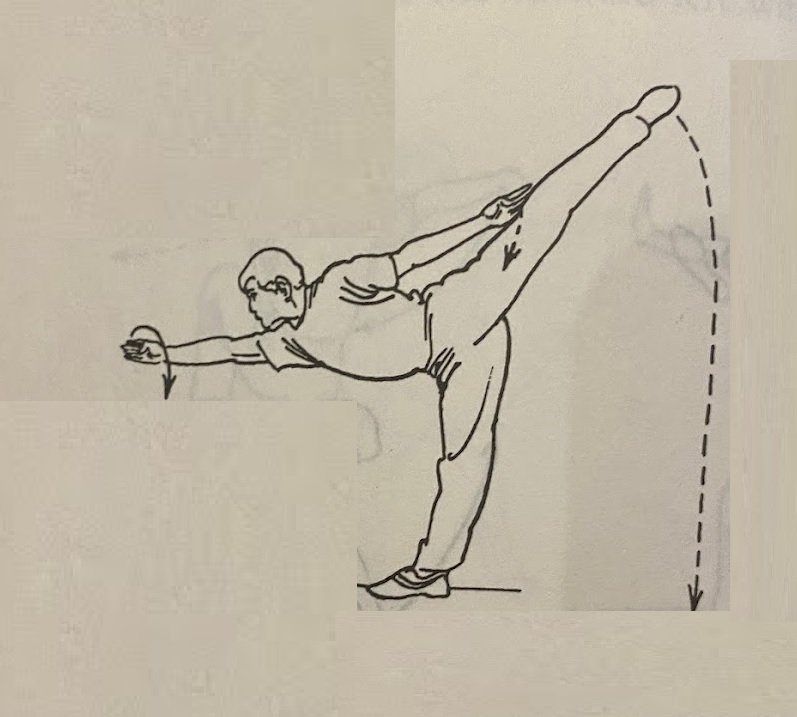 Single Leg Balance 探海平衡 (Tanhai Pingheng)