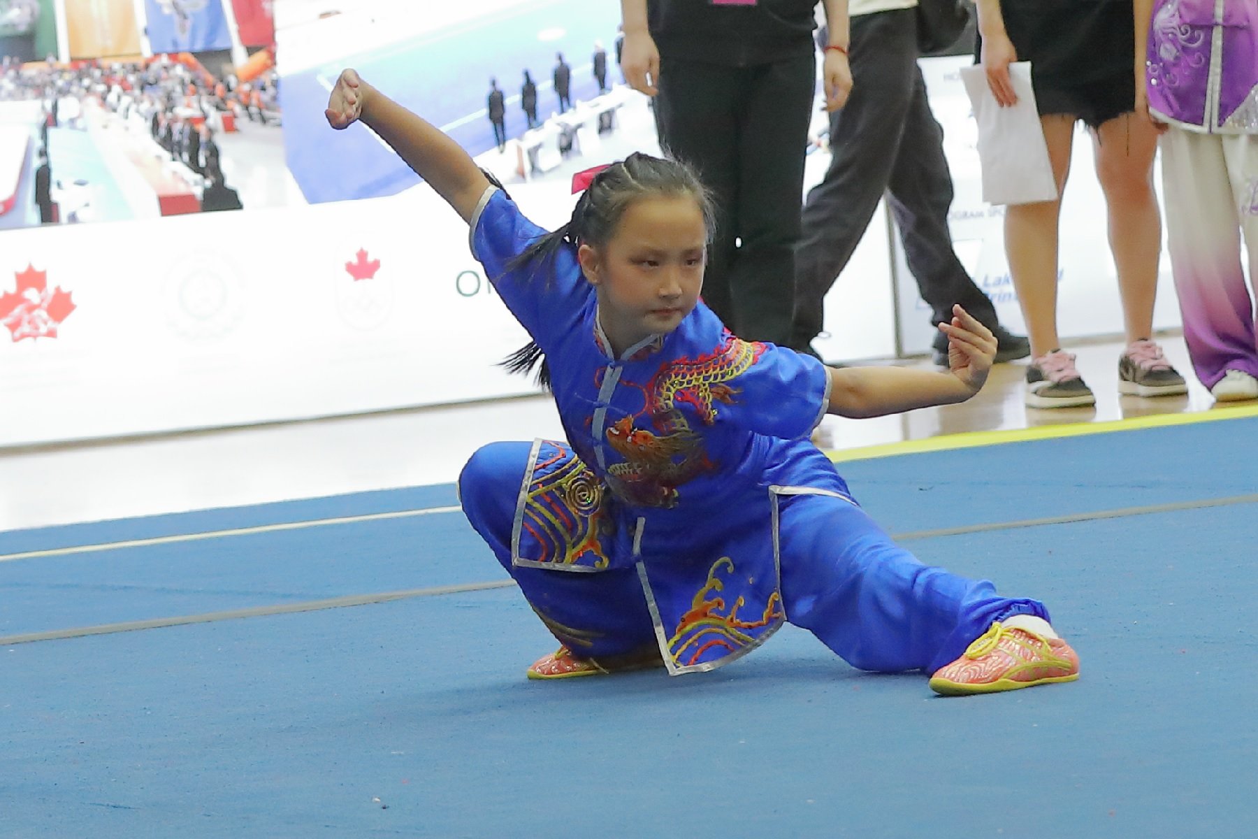 wayland-li-wushu-2022-canadian-nationals-wushu-championships-223.jpg