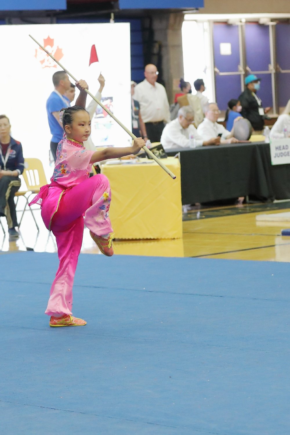 wayland-li-wushu-2022-canadian-nationals-wushu-championships-248.jpg