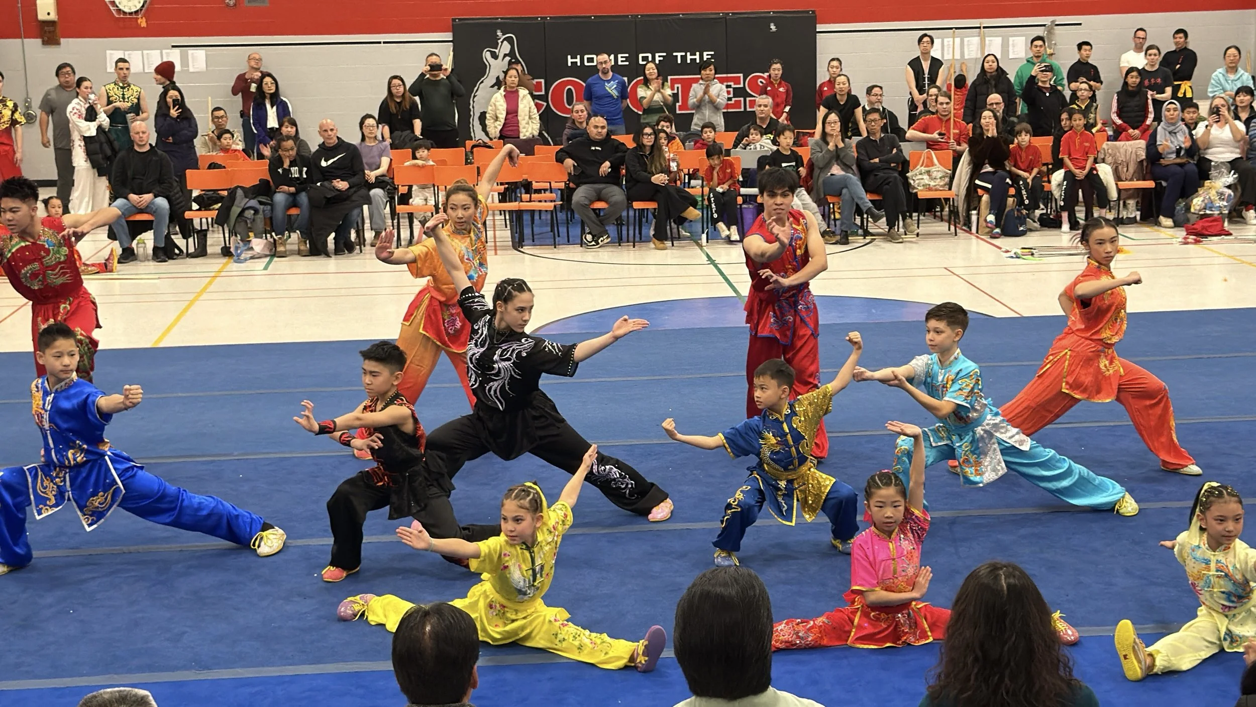 2025 Ottawa Open Wushu Championships