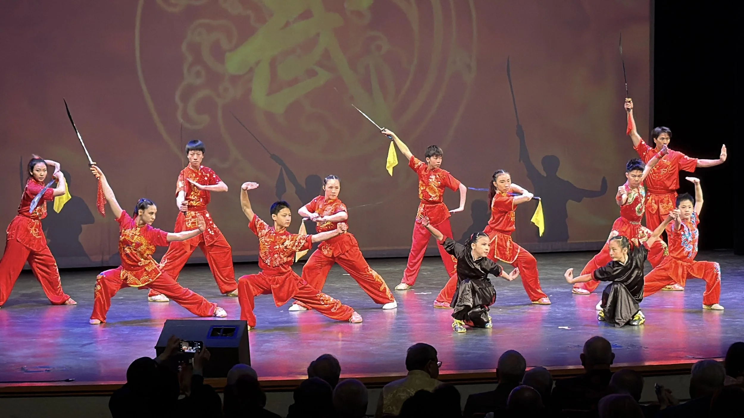 Wushu Demo for CNY Chinese Consulate Event