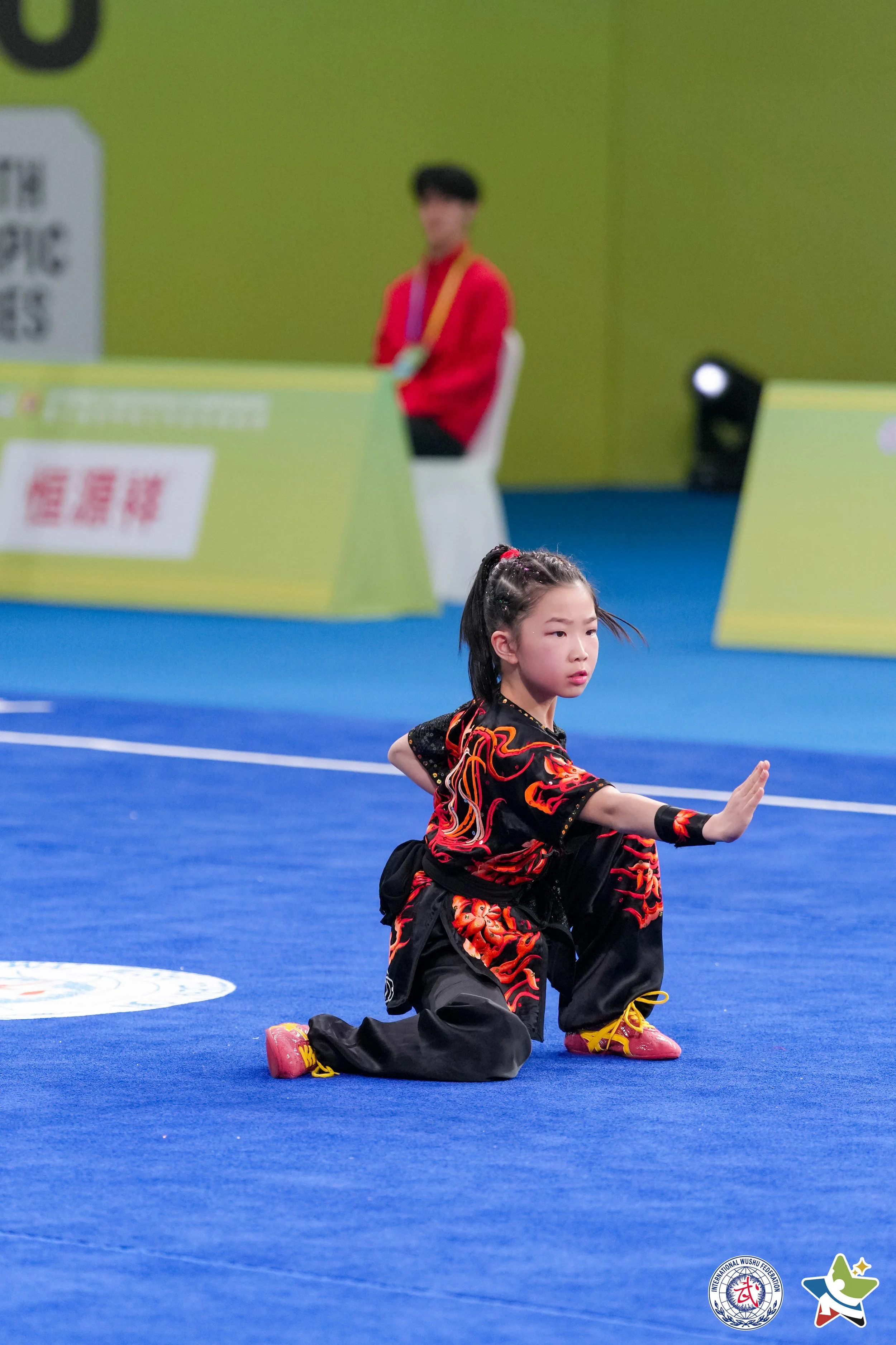 Southern Fist (Nanquan)