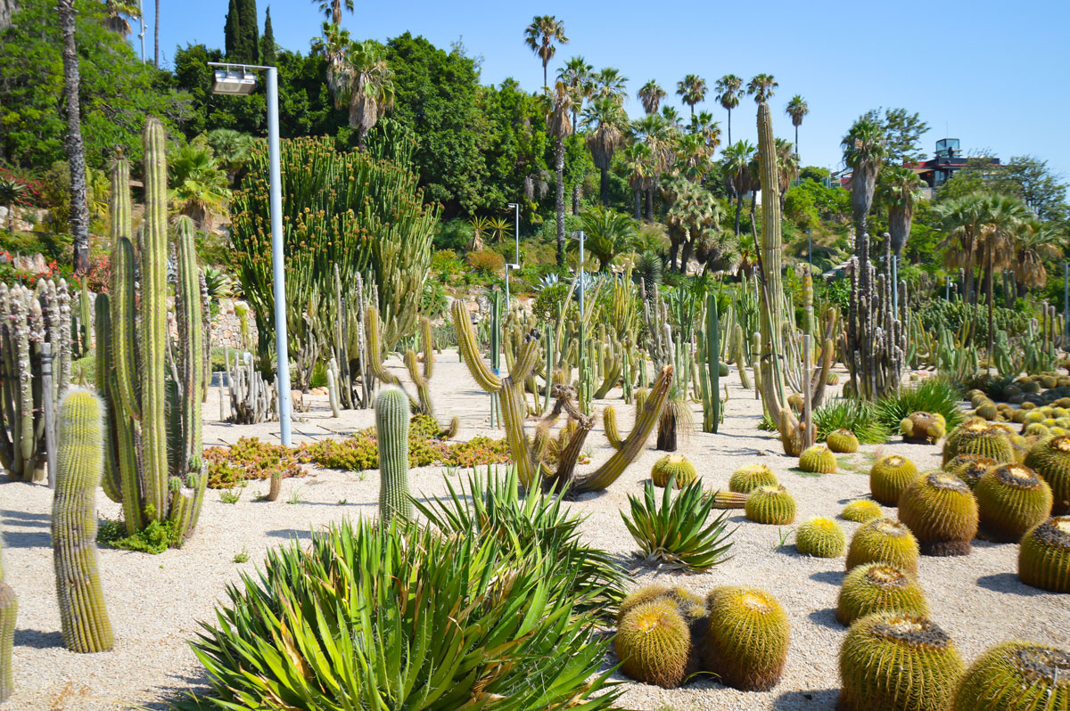 Montjuic park Barcelona