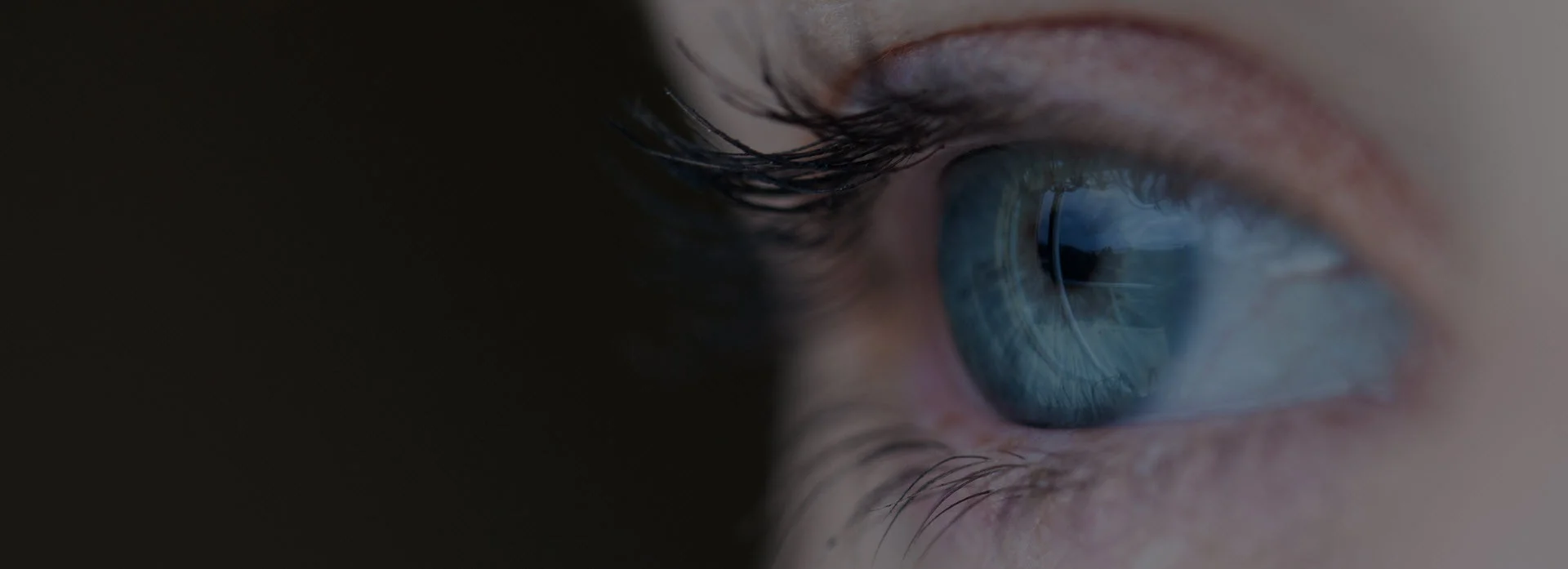 banner1grey.jpg