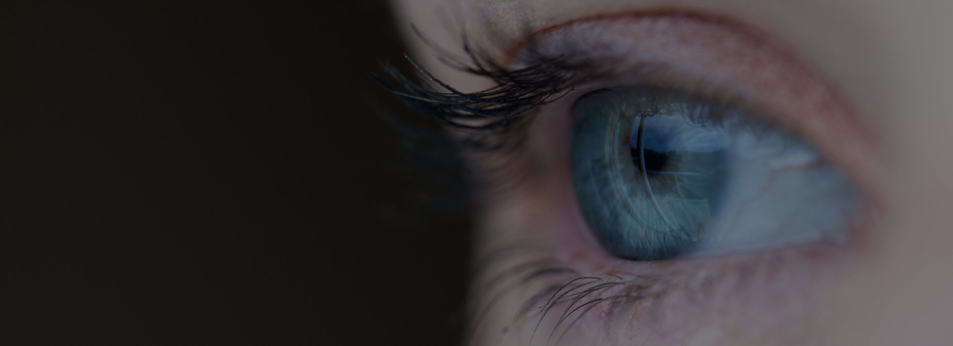 banner1grey.jpg