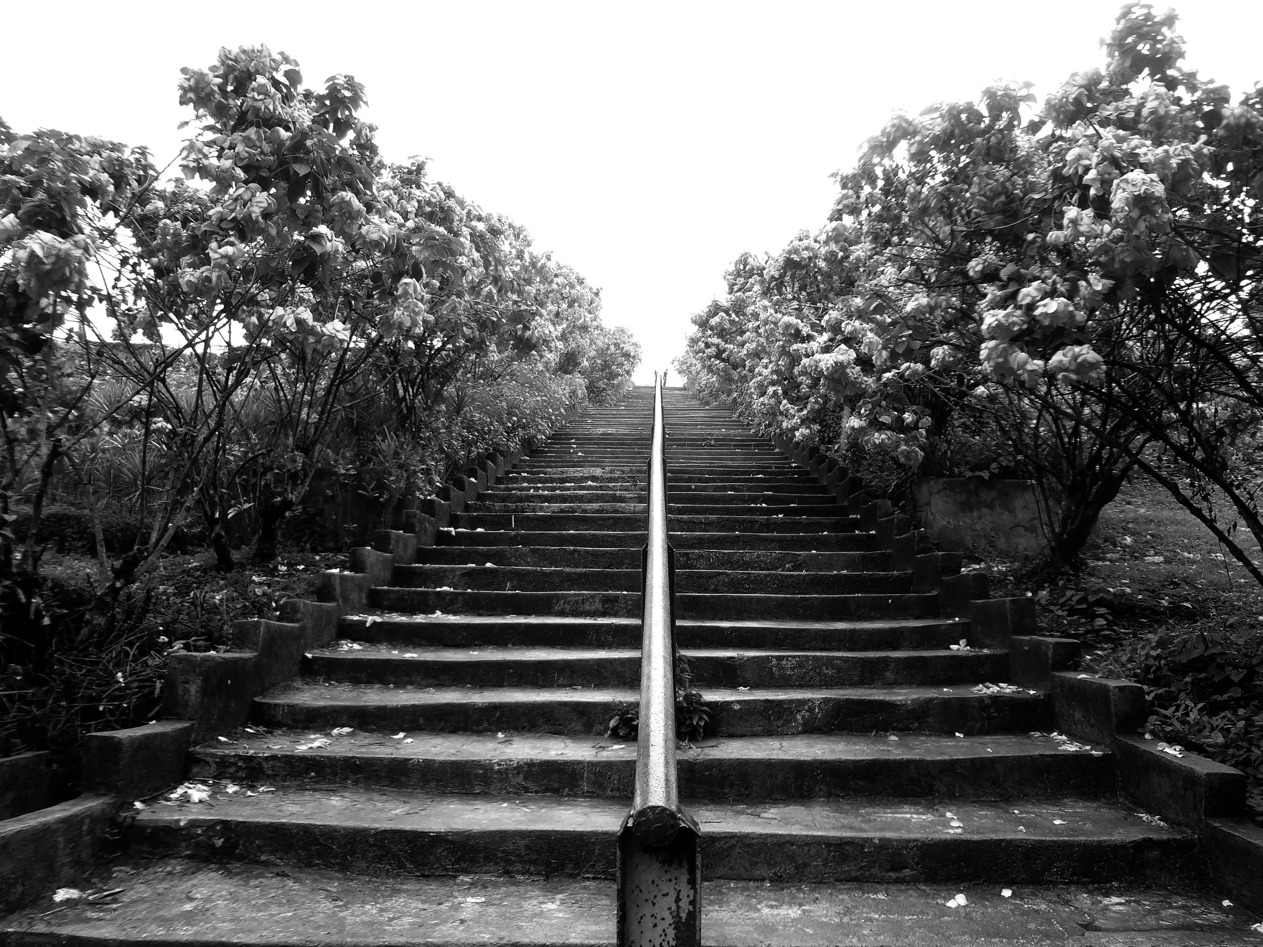 DSC01476_BW.jpg