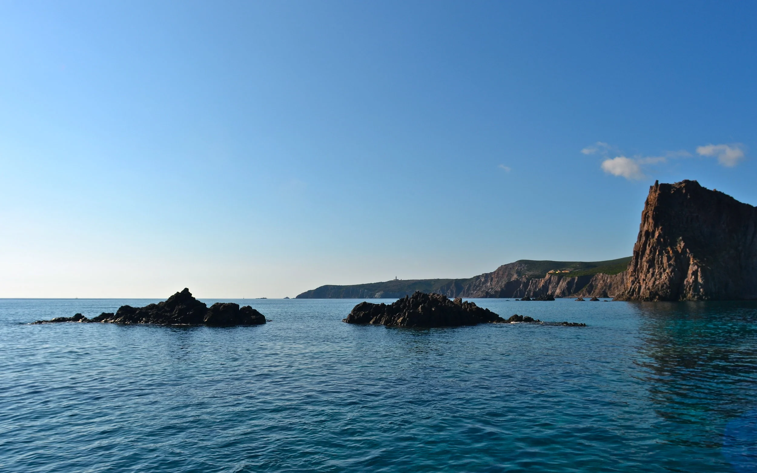 DSC_2021_2.JPG
