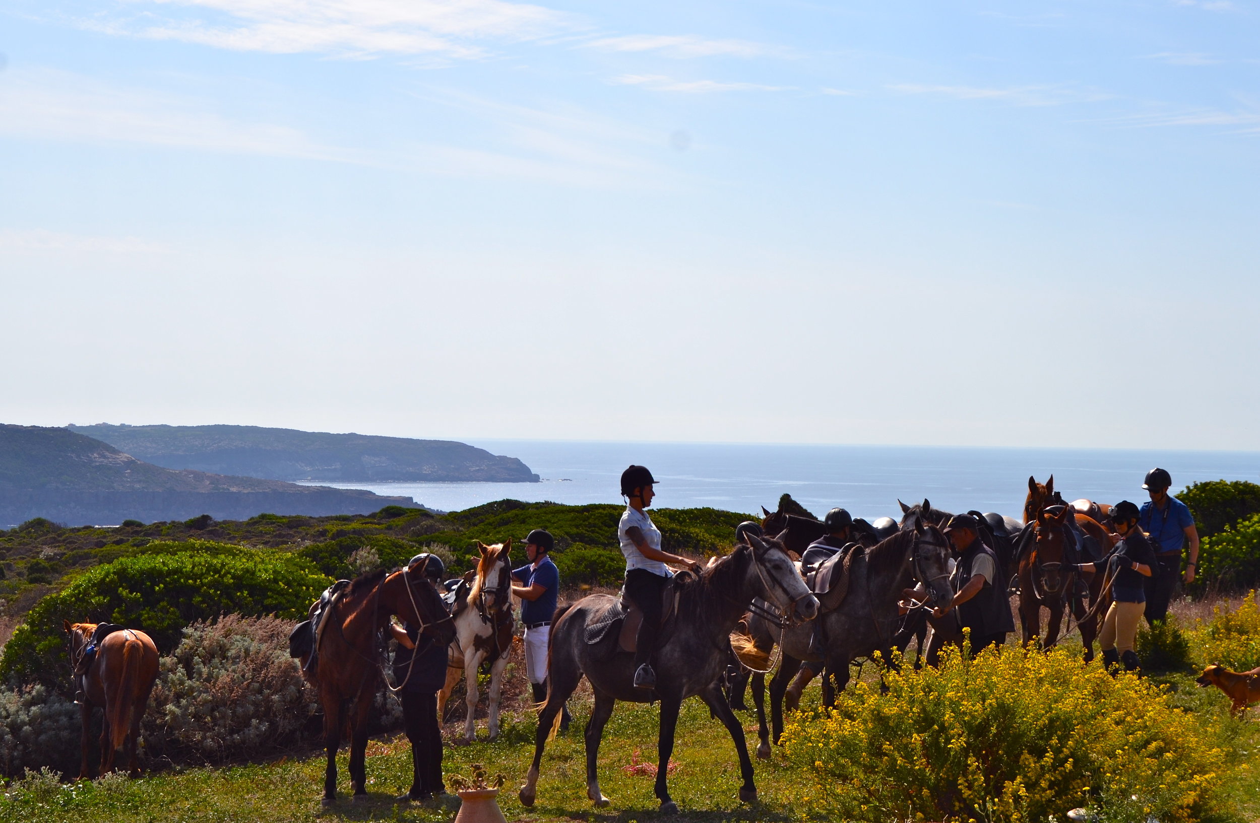 Horse Excursions