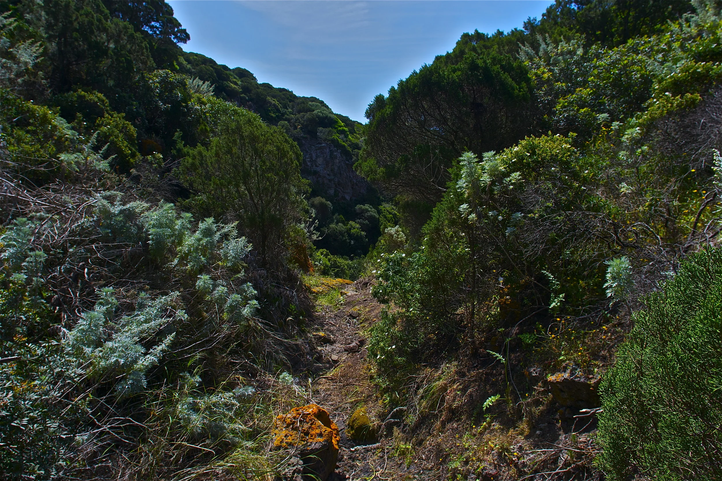 DSC_1505.jpg