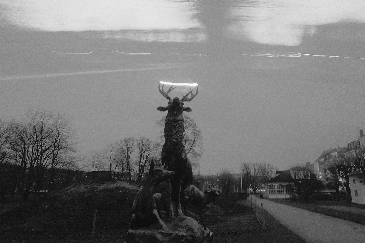 DSCF5961 sm.jpg