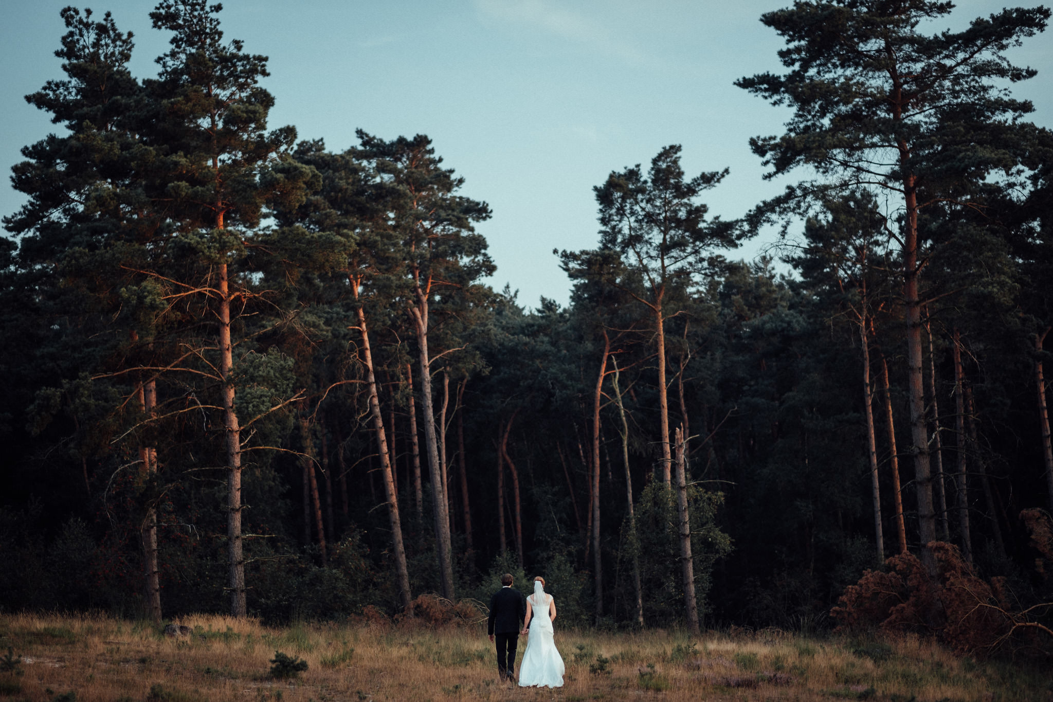 Hochzeitpaar Hand in Hand vor einer Waldlichtung in der Brunssumerheide beim Paarshooting