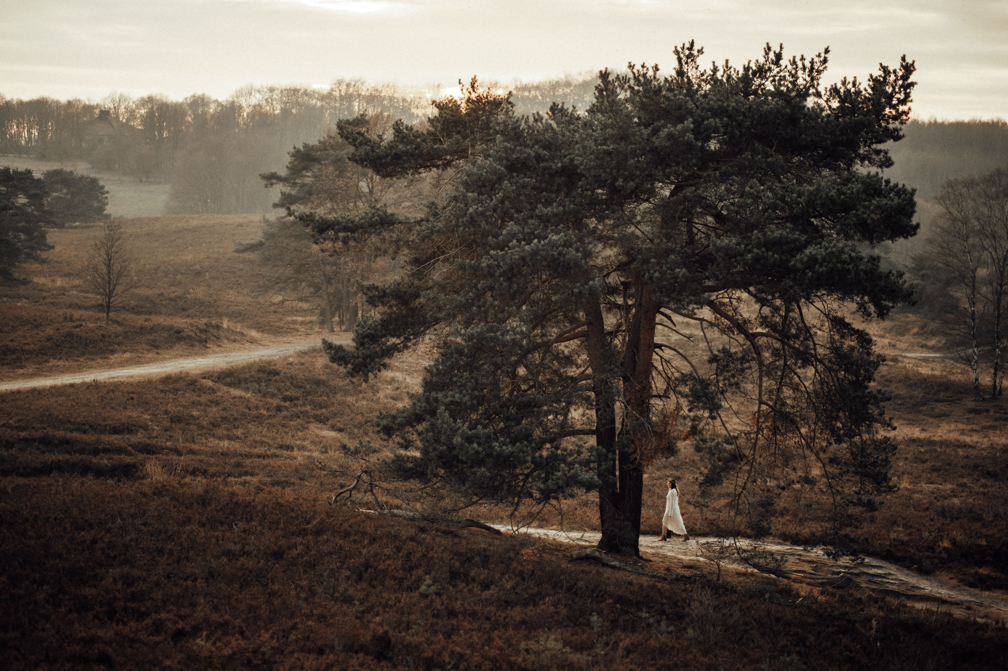 Das Bild zeigt das Hochzeitspaar beim Paarshooting am Tage der Hochzeit in der spektakulären Naturlandschaft der Brunssummerheide in Holland, unweit von Aachen NRW entfernt, beim Sonnenuntergang.